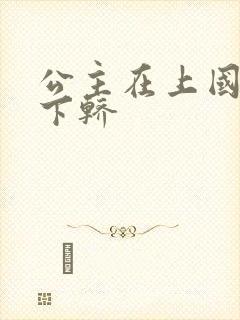 公主在上国师请下轿封面