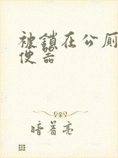 被锁在公厕当坐便器