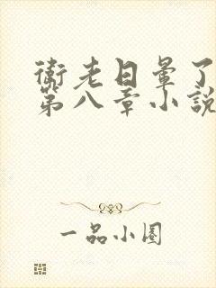 卫老日晕了淑蓉第八章小说