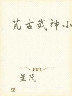 荒古武神小说