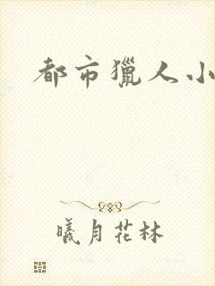 都市猎人小说
