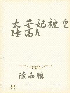 太子妃被皇上强睡高h