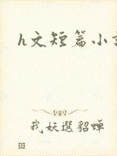 h文短篇小说封面