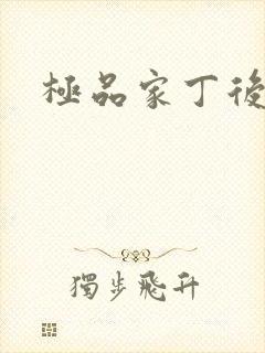 极品家丁后传封面