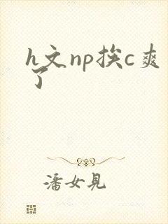 h文np挨c爽了