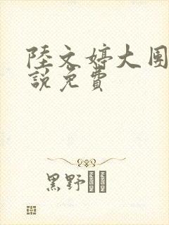 陆文婷大团圆小说免费