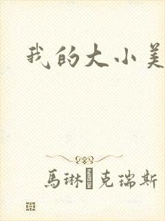 我的大小美女花封面