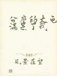 公么的大龟强大满足了我