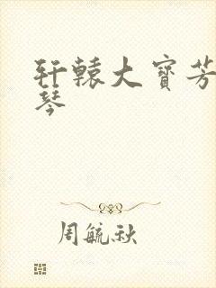 轩辕大宝芳菲雅琴