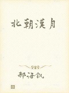 北朝汉月封面