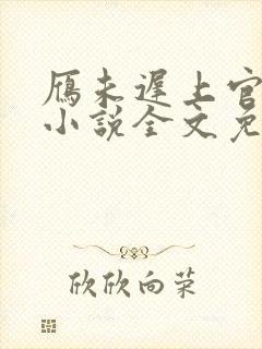 雁未迟上官穿越小说全文免费阅读