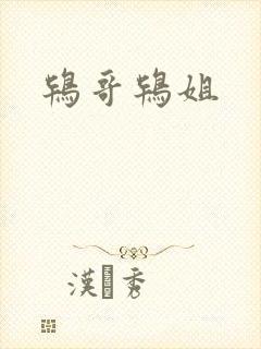 鸨哥鸨姐封面