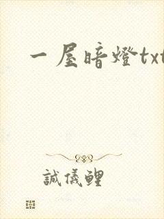 一屋暗灯txt