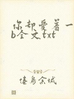 你却爱着一个sb全文txt