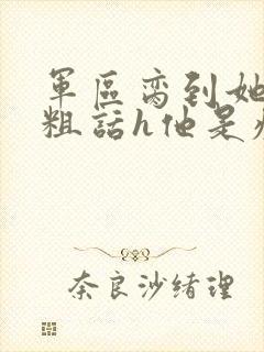 军区脔到她哭h粗话h他是疯批