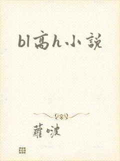 bl高h小说