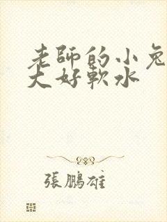 老师的小兔子好大好软水封面