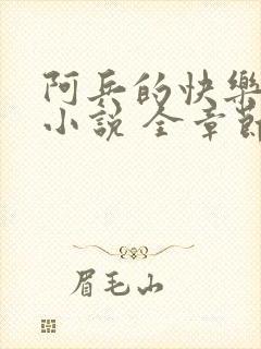 阿兵的快乐生活小说 全章节阅读免费