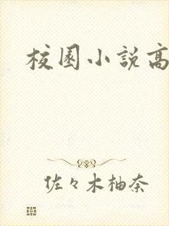 校园小说高h
