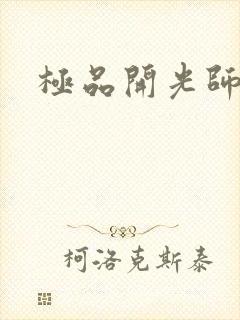 极品开光师