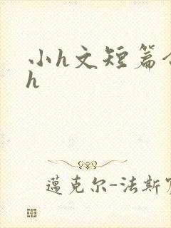 小h文短篇合集h