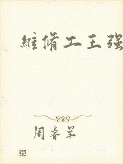 维修工王强张婷封面