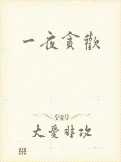 一夜贪欢