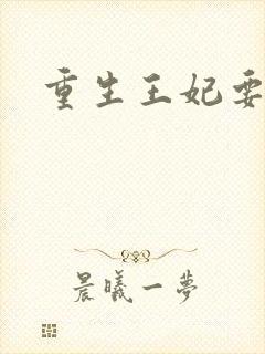 重生王妃要和离封面