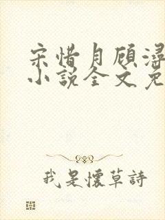 宋惜月顾浔渊的小说全文免费阅读