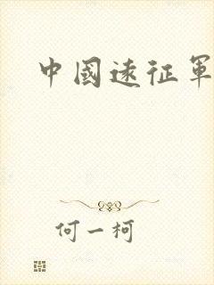 中国远征军小说