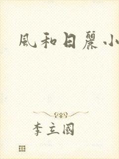 风和日丽小说封面