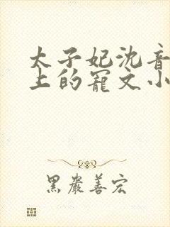 太子妃沈音和皇上的宠文小说