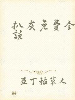 扒灰免费全本小说封面