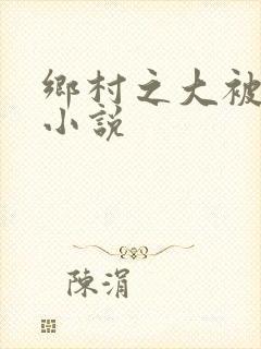 乡村之大被同眠小说