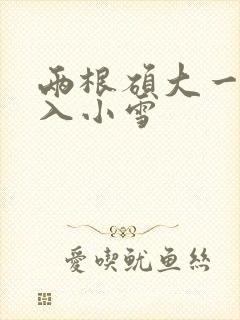 两根硕大一起挤入小雪