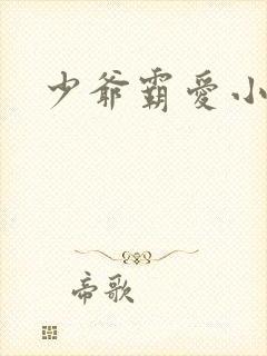 少爷霸爱小丫头