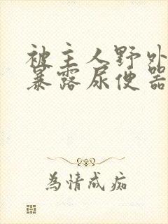 被主人野外调教暴露尿便器