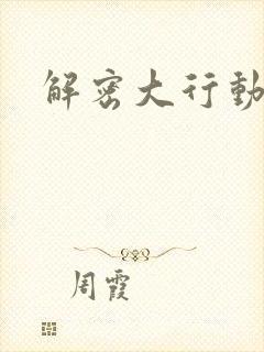 解密大行动