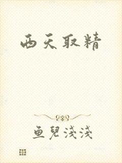 西天取精