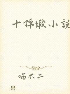 十锦缎小说
