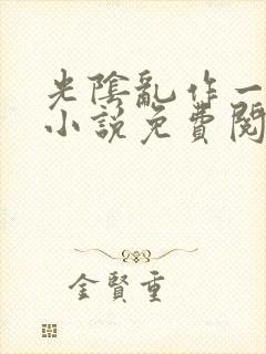 光阴乱作一团的小说免费阅读