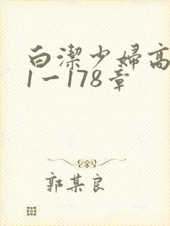 白洁少妇高义第1一178章