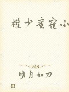 权少蜜宠小娇妻