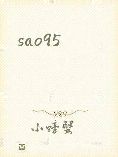 sao95封面
