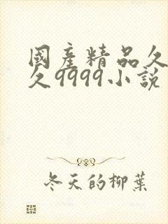 国产精品久久久久9999小说