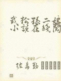 武松孙二娘云雨小说在线阅读封面