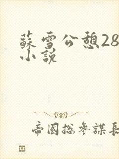 苏雪公憩28篇小说封面
