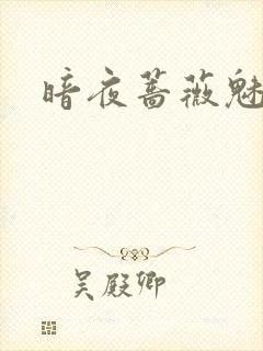 暗夜蔷薇魅
