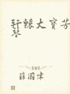 轩辕大宝芳菲雅琴