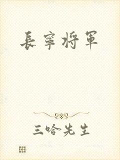 长宁将军封面